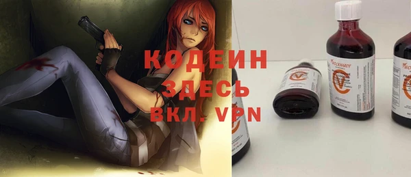 индика Сосновый Бор