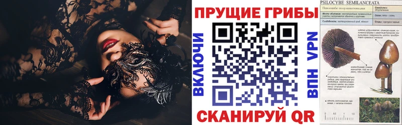 Купить  Верея  Галлюциногенные грибы GOLDEN TEACHER 