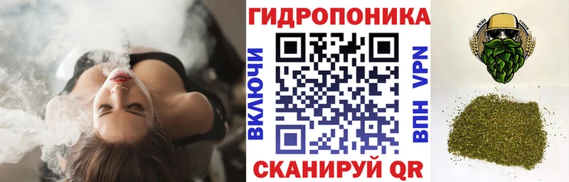 Купить закладки  Верея  Марихуана SATIVA & INDICA 